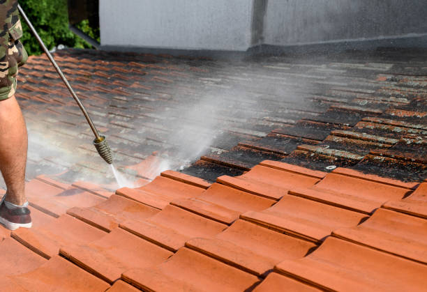 Best Sidewalk Pressure Washing  in Cross City, FL
