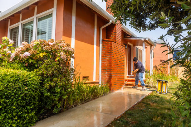 Best Power Washing Near Me  in Cross City, FL
