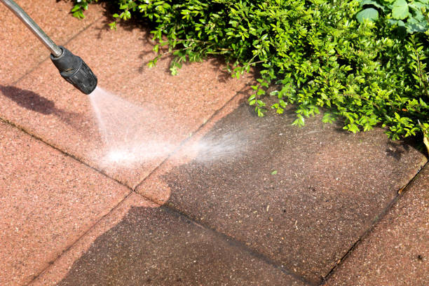 Professional Pressure Washing in Cross City, FL